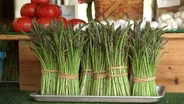 Currituck Asparagus