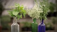 J&B Herb Farm