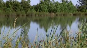 Video thumbnail: Flavor NC Carolina Classics Catfish