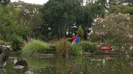 Video thumbnail: In the Garden Bullington Gardens/New Hanover County Arboretum