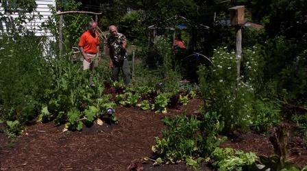 Video thumbnail: In the Garden Sustainable Gardening