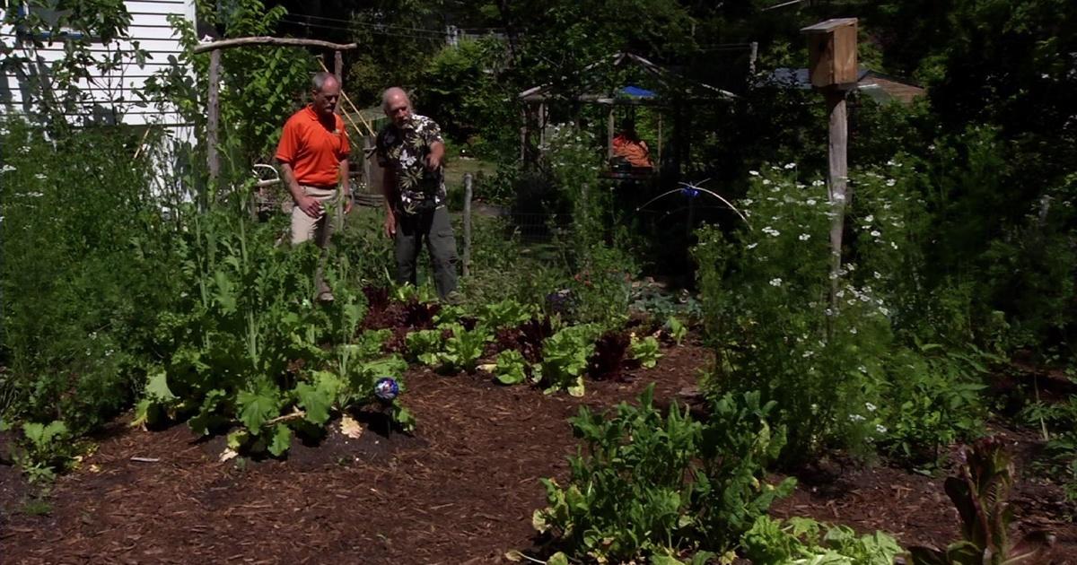 In the Garden Sustainable Gardening Season 900 Episode 902 PBS