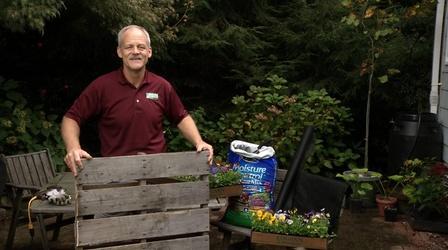 Video thumbnail: In the Garden Gardening Trends and Follow-ups