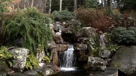 Video thumbnail: In the Garden Award-winning Landscape