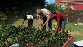 Video thumbnail: In the Garden Durham Inner-city Gardeners (DIG)