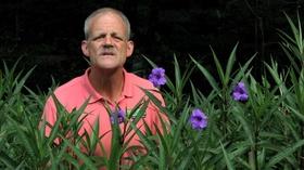 Video thumbnail: In the Garden Plant of the Week Episode 802