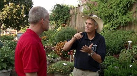 Video thumbnail: In the Garden What's New for 2012 - Trial Gardens at UGA