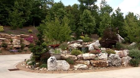 Video thumbnail: In the Garden Natural Landscapes