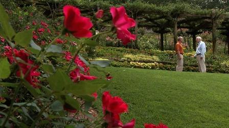 Video thumbnail: In the Garden Gibbs Gardens