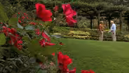 Gibbs Gardens