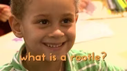 Is a ROOTLE a Train?