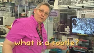 A Scientific ROOTLE with the NC Museum of Natural Sciences!
