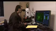 Monday, November 11, 2013