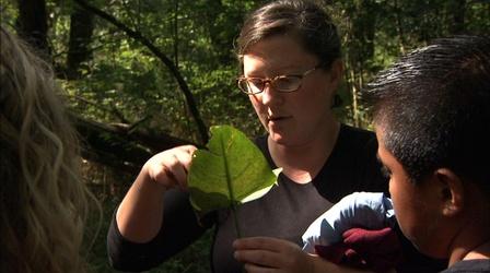 Video thumbnail: NC Now Thursday, December 12, 2013