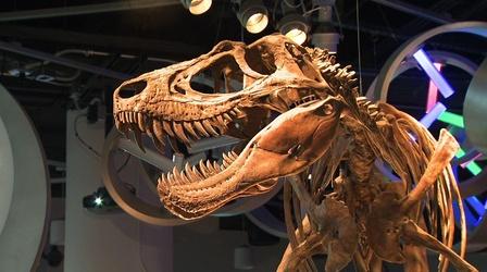 Video thumbnail: NC Now NC Now Special: Best of Science Now - Amazing World