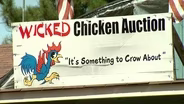 Wicked Chicken Auction