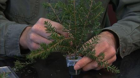 Video thumbnail: NC Now NC Now Special: Best of Science Now - Outdoor Wonders