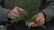 NC Now Special: Best of Science Now - Outdoor Wonders