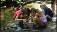 NC Arboretum | Youth Education