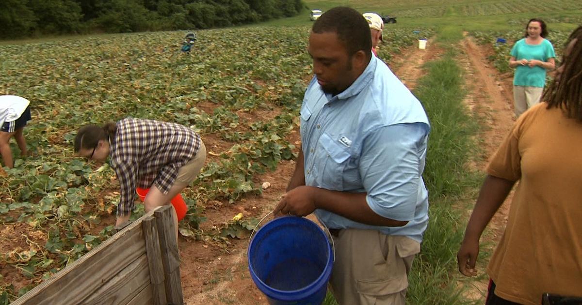 NC Now First Fruits Farm PBS