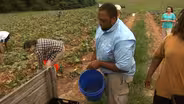 First Fruits Farm