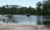 Grifton Flooding