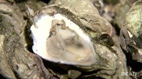 Video thumbnail: NC Now Thursday, November 3rd, 2016