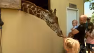 Aloha Safari Zoo