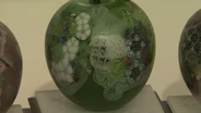 "Igneous Expressions" Glass Exhibit