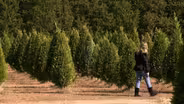 Mike's Farm at Christmas