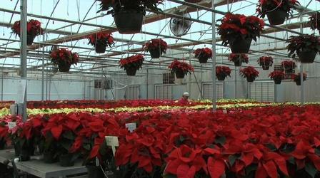 Video thumbnail: North Carolina Weekend December 12, 2013