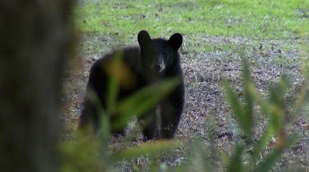 Video thumbnail: North Carolina Weekend January 2, 2014
