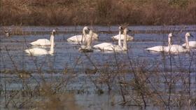 Video thumbnail: NC Weekend February 20, 2014