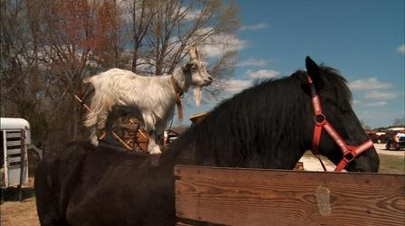 Video thumbnail: North Carolina Weekend March 13, 2014