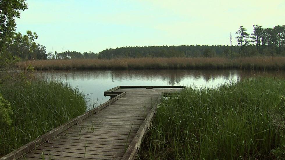 Goose Creek State Park image