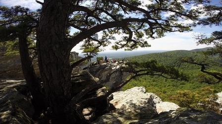 Video thumbnail: North Carolina Weekend February 19, 2015