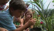 Hop'n Blueberry Farm