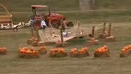 Eliada Corn Maze