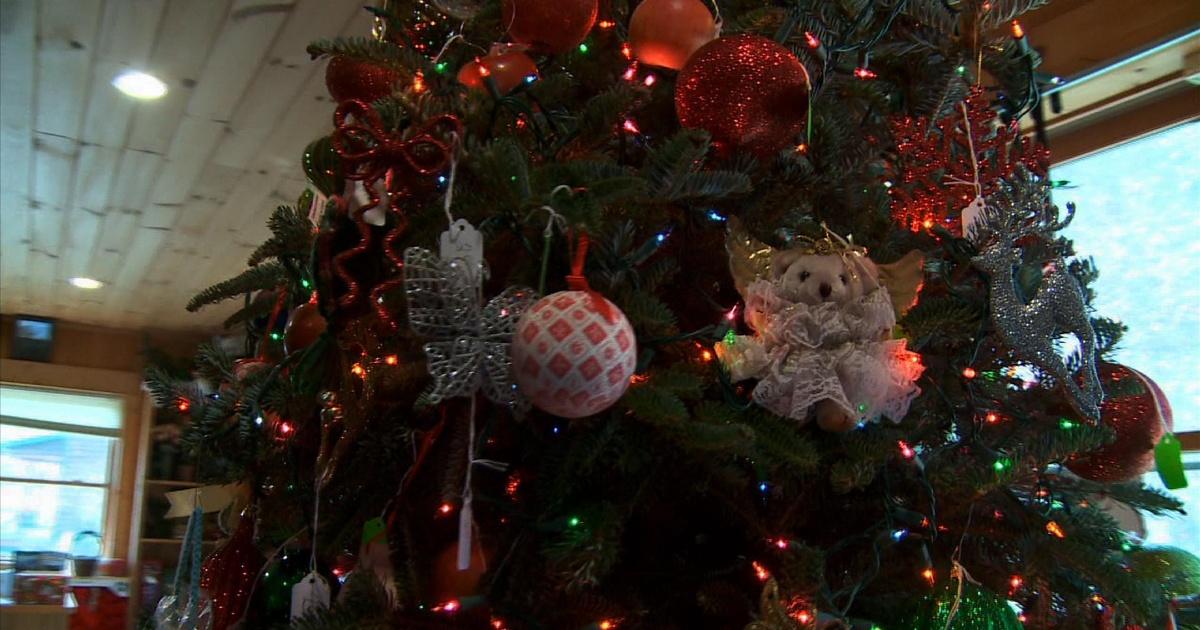 North Carolina Weekend What Fir Tree Farm PBS