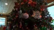 What Fir Tree Farm