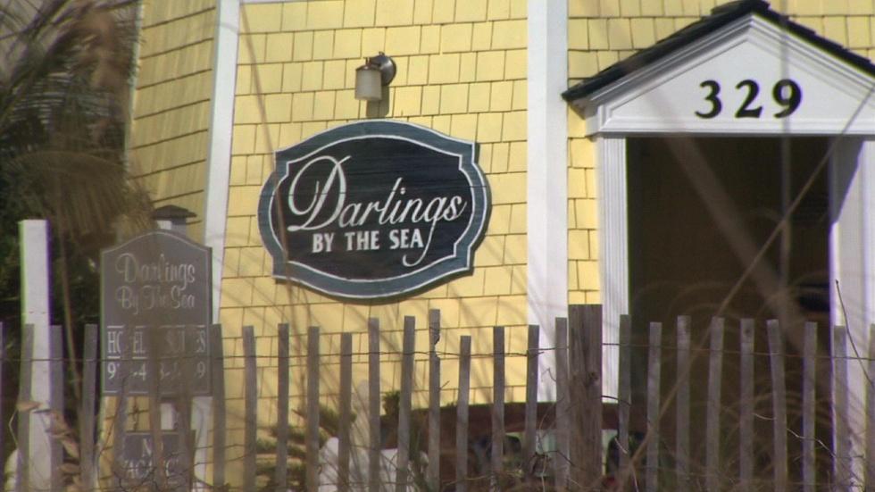 Darlings By The Sea image
