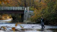 White Sulphur Springs