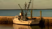 Taste of Core Sound; Harkers Island