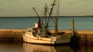 Taste of Core Sound; Harkers Island