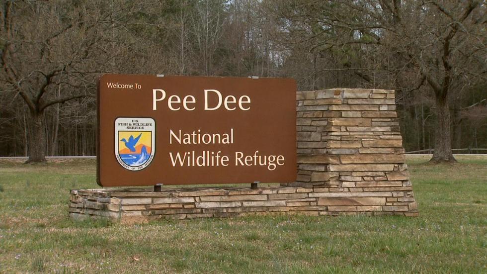 Pee Dee National Wildlife Refuge image