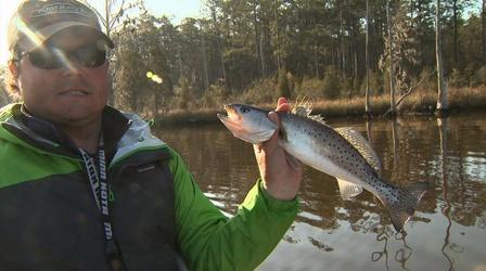 Video thumbnail: North Carolina Weekend May 2, 2013