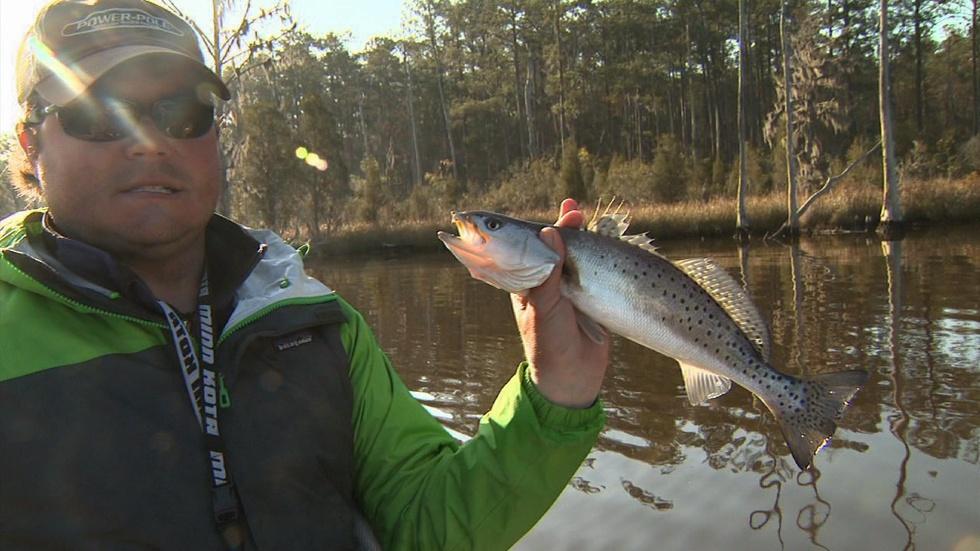 Pamlico Fishing image