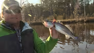 Pamlico Fishing