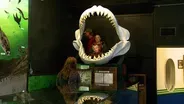 Aurora Fossil Museum