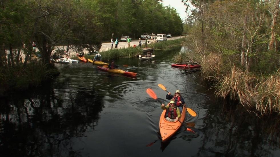 Alligator River Kayaking image